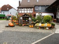 Kuerbisprobiertage  (2)